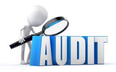 Audit Course 4