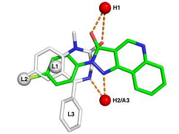 Medicinal Chemistry	