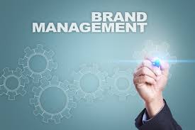 Strategic Brand Management [C2M]